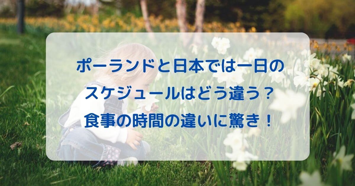 ポーランドと日本では一日のスケジュールはどう違う？食事の時間の違いに驚き！