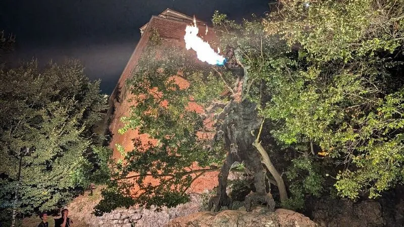 ヴァヴェルのドラゴン像